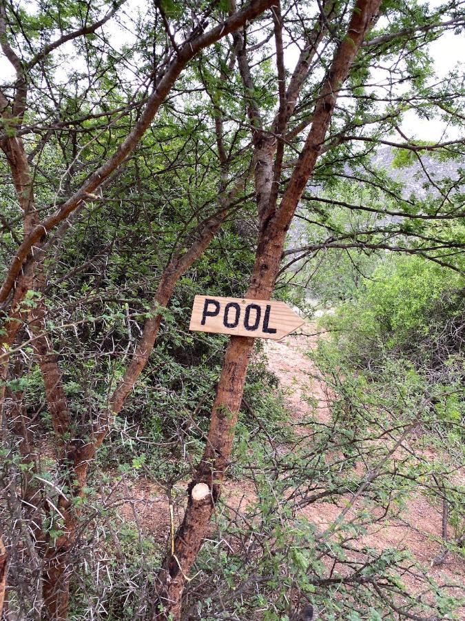 Baviaanskloof Laaste Kamp - Wild Bush Camping Sandvlakte Eksteriør billede